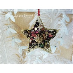 Potpourri Drahtstern Weihnachten 