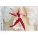 Engel Ivory Rostrot Shabby