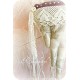 Flügel Beige Spitze Shabby