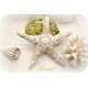 Seestern Stoff Ivory Spitze K