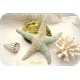 Seestern Stofftier Mint Spitze