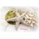 Seestern Ivory Stofftier