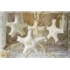 Schneeflocke Weiß Shabby Spitze